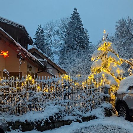 Gemuetliche Waldrandlage In Badenweiler Sehringen Ferienwohnung Extérieur photo