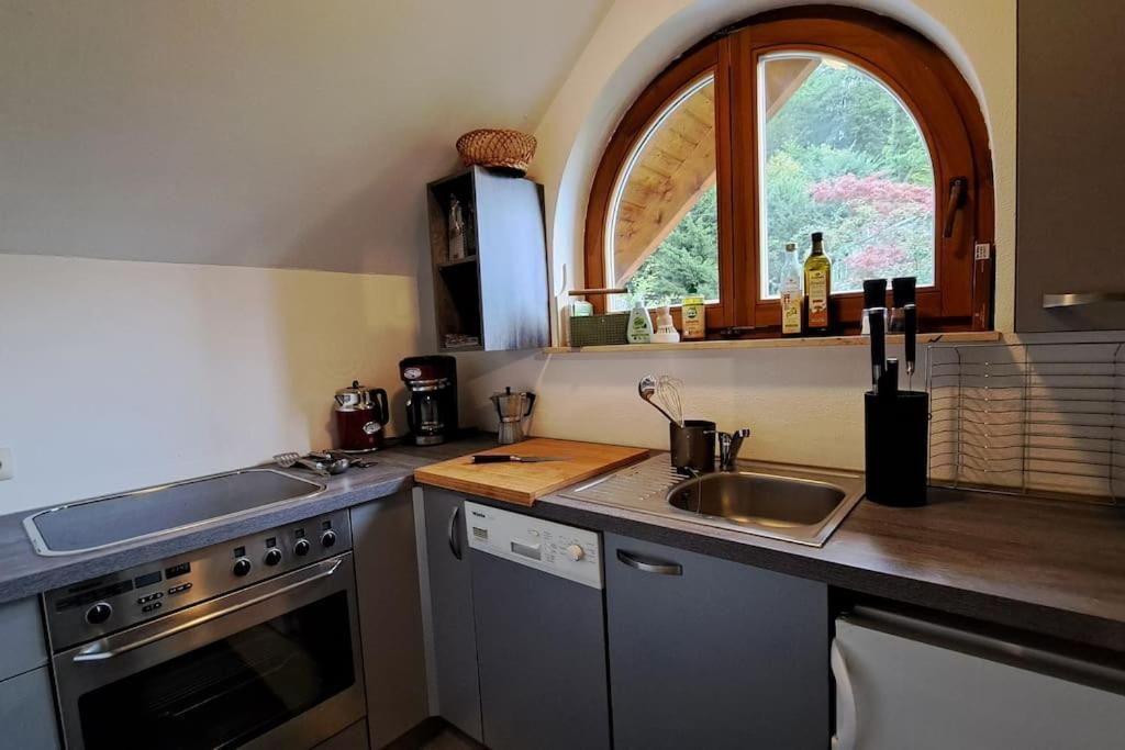 Gemuetliche Waldrandlage In Badenweiler Sehringen Ferienwohnung Extérieur photo