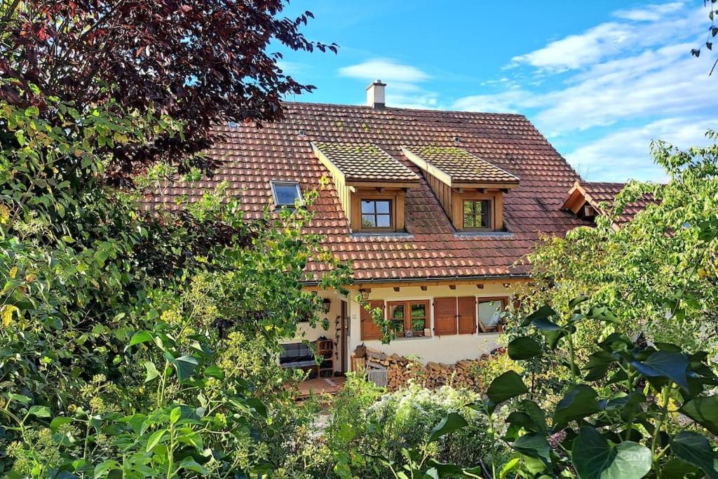 Gemuetliche Waldrandlage In Badenweiler Sehringen Ferienwohnung Extérieur photo