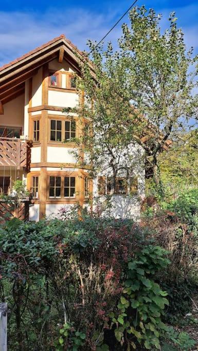 Gemuetliche Waldrandlage In Badenweiler Sehringen Ferienwohnung Extérieur photo