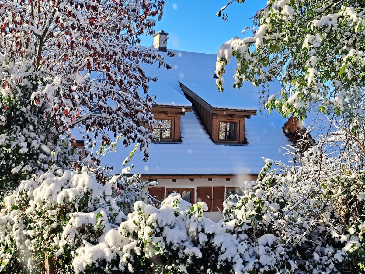Gemuetliche Waldrandlage In Badenweiler Sehringen Ferienwohnung Extérieur photo